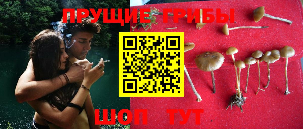 Воркута  Галлюциногенные грибы MAGIC MUSHROOMS  Вход с VPN 