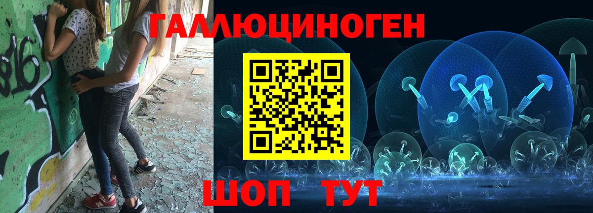 Галлюциногенные грибы Psilocybine cubensis Воркута